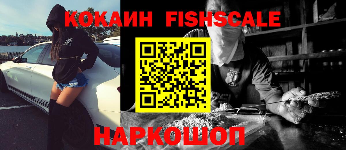 МЕФ Шебекино