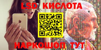 PSILOCYBIN Краснознаменск