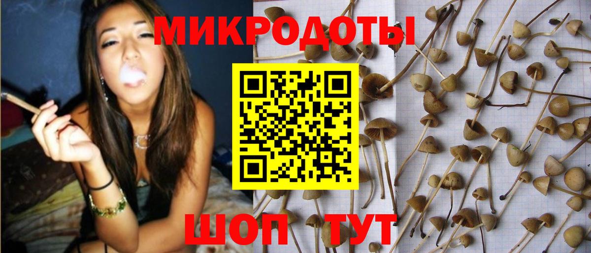 Псилоцибиновые грибы Magic Shrooms Шебекино