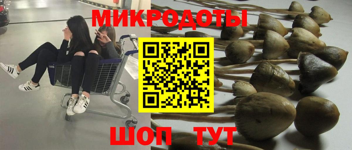Псилоцибиновые грибы ЛСД  Вход с VPN  Шебекино 
